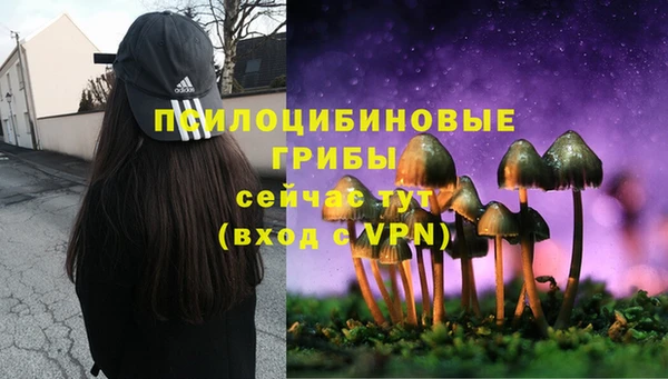 mix Белокуриха