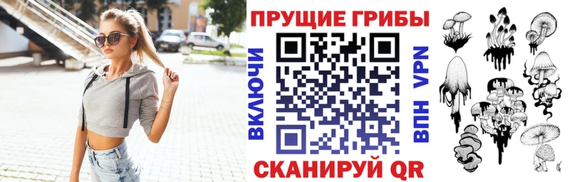 Псилоцибиновые грибы мицелий  Хвалынск 